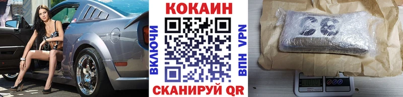 mega как зайти  Зеленогорск  COCAIN FishScale 