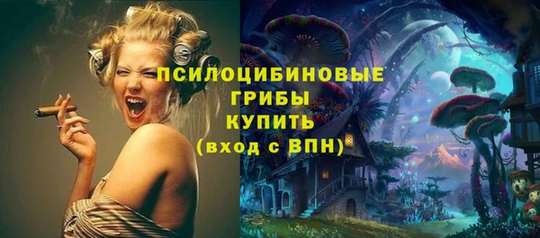 гашик Балабаново