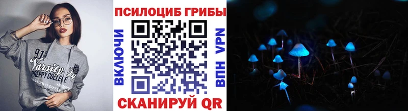 Псилоцибиновые грибы Psilocybe Зеленогорск